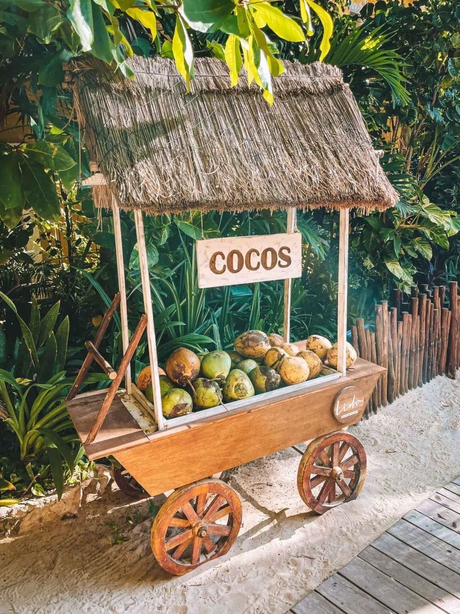 Photographie d'un chariot de noix de coco