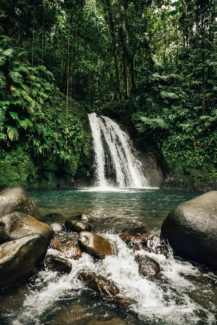 photographie des chutes du carbet