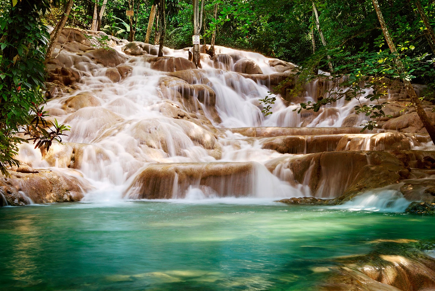 Photo de Dunn's River Falls en Jamaique