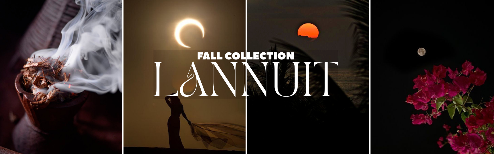 Banniere collection automne