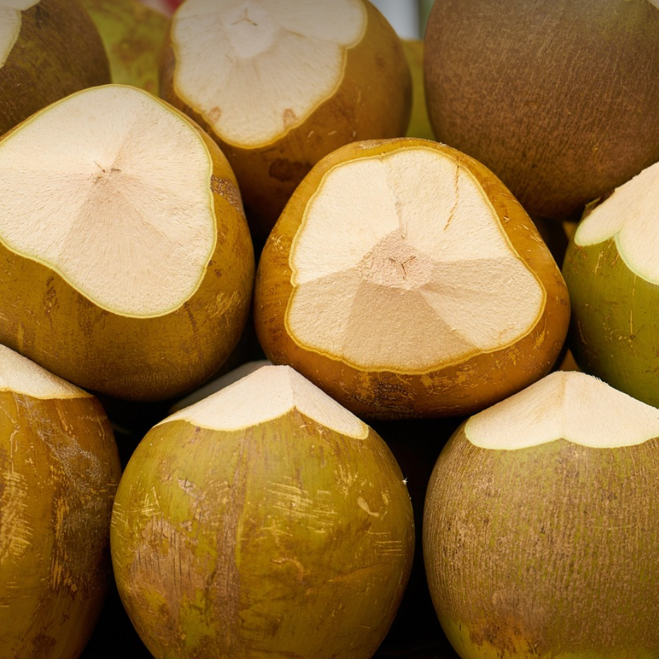 serie de noix de coco 